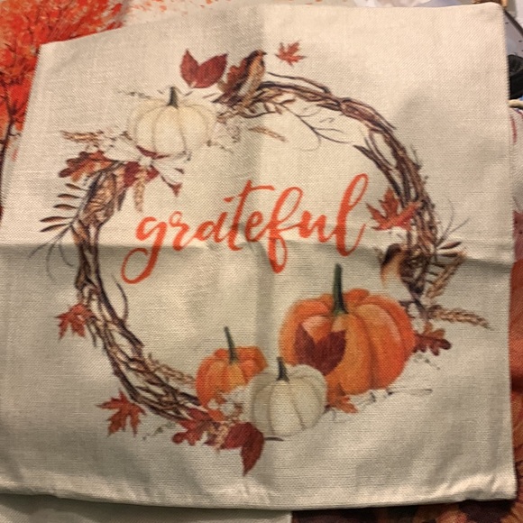 Set of 4 CDWERD fall pillow covers size 17 1/4” x 17 1/4” - Picture 2 of 5